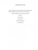 ELEMENTOS DEL ESTADO