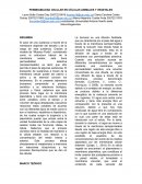 PERMEABILIDAD CELULAR EN CÉLULAS ANIMALES Y VEGETALES