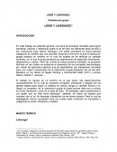 Lider y liderazgo- Anzieu, Napier