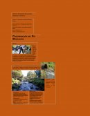 Contaminación del Rio Magdalena