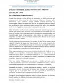 Informes indivuduales de 4 y 5 años