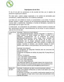 Organigrama día del libro