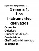 Instrumentos de Valoración de Derivados