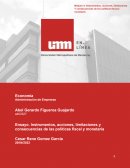 Instrumentos, acciones, limitaciones y consecuencias de las políticas fiscal y monetaria