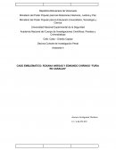 CASO EMBLEMATICO: ROXANA VARGAS Y EDMUNDO CHIRINOS “FURIA EN CARACAS”