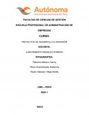 PROYECTOS DE DESARROLLO E INVERSIÓN