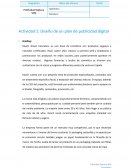 Actividad 1: Diseño de un plan de publicidad digital