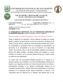 LA PROBLEMÁTICA TERRITORIAL DE LAS COMUNIDADES INDÍGENAS EN LA AMAZONÍA PERUANA