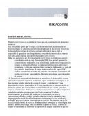 SEGURIDAD Risk Appetite