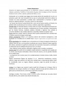 Sistema Respiratorio