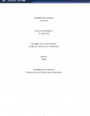 Evidencia cientifica en enfermeria