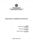 INTRODUCCIÓN A LA GERENCIA DE PROYECTOS