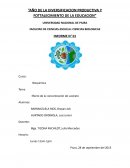 Efecto de la concentración de sustrato