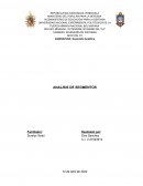 Analisis de Segmentos