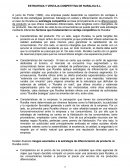 ESTRATEGIA Y VENTAJA COMPETITIVA DE RURALKA S.L.