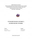 FUNDAMENTOS DE CONTROL Y ELEMENTOS DE CONTROL