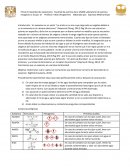 Previo 6: Basicidad de oxoaniones