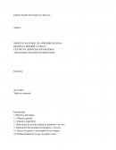 Informe sobre el sistema de distribución