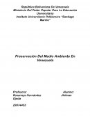 Trabajo estadistica corrleacion entre variables