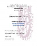 CONTADOR PÚBLICO. COMUNICACIÓN ORAL Y ESCRITA