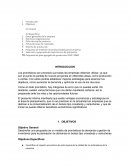 Informe empresarial Naej