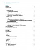 INSTAGRAM UN FACTOR PARA LA BAJA AUTOESTIMA