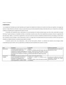 Proyecto “El calendario”