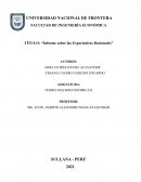 Informe sobre las Expectativas Racionales