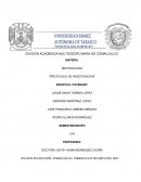 Lumbalgia En Jóvenes Debido A Las Clases En Línea De La División Académica Multidisciplinaria De Comalcalco