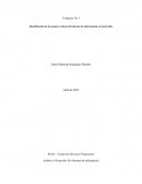 Identificación de los puntos críticos del sistema de información en desarrollo