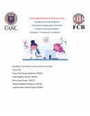 Actividad 4.1 Conociendo mi profesión