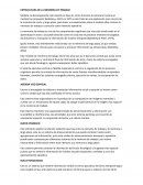 Modelos de la Memoria de Trabajo de Baddeley y Cowаn