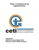Enfoque de las organizaciones