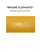 IMAGINE ELEPHANTS” Análisis del documental