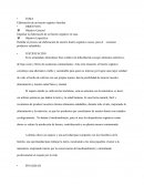 Elaboración de un huerto orgánico familiar