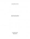 Conceptos Básicos de P.O.O