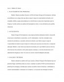 Caso Hunter Design & Development