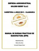Golden Berry. Manual de buenas practicas de manufactura