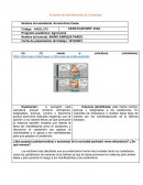 Formato de Identificación de Creencias