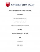 PROYECTO EMPRENDEDOR TUTORIA UCV