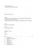 Implementación de una red lan en el hogar de la familia Andi Calapucha del barrio Vía Itaya