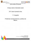 Ensayo sobre el bienestar social