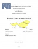 Historia de barinas