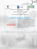 Análisis de la película: “7 ALMAS”