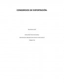 CONSORCIOS DE EXPORTACIÓN