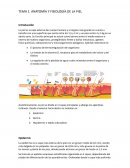 ANATOMÍA Y FISIOLOGÍA DE LA PIEL