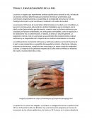 ENVEJECIMIENTO DE LA PIEL