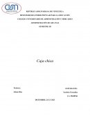 CAJA CHICA CONTABILIDAD