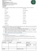 Tecnología y Procesos productivos