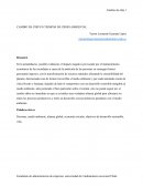 CAMBIO DE CHIP EN TIEMPOS DE CRISIS AMBIENTAL